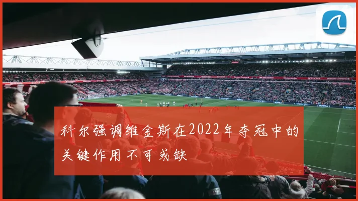 科尔强调维金斯在2022年夺冠中的关键作用不可或缺