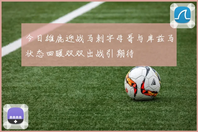 今日雄鹿迎战马刺字母哥与库兹马状态回暖双双出战引期待