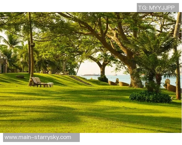 西蒙斯转型创业成功收购南佛罗里达帆船垂钓俱乐部引关注